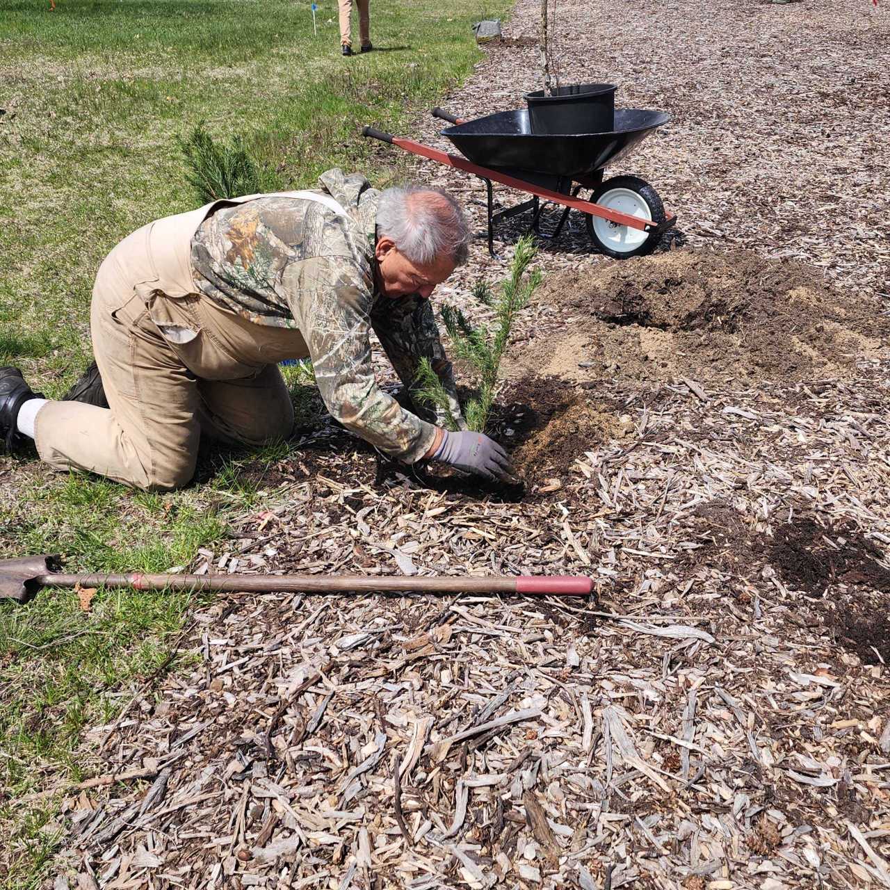 John Noling, past-president of Muskegon Rotary Club, planting the first tree in the micro forest